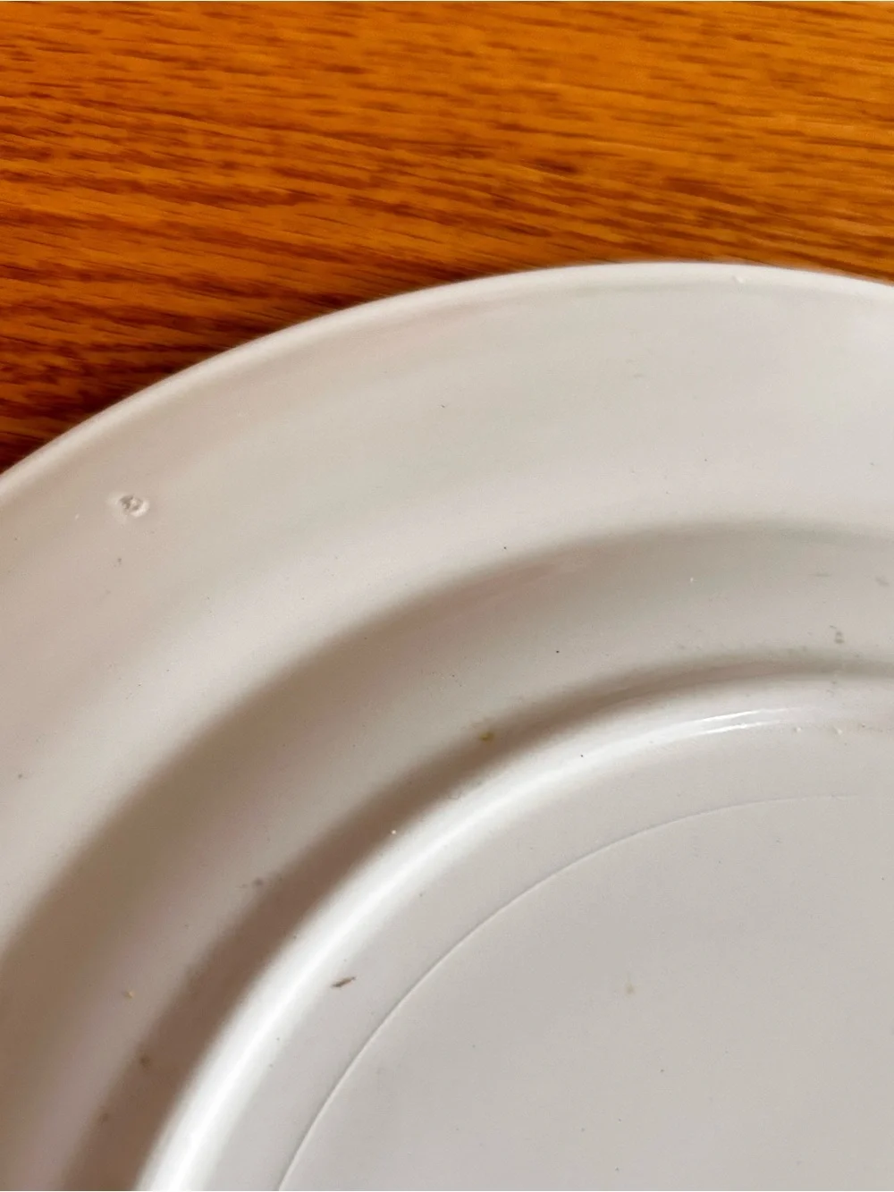 Vintage Royal China 11” Dinner Plate 22k Gold Detailing